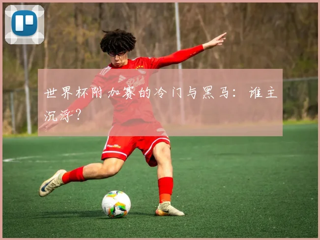 世界杯附加赛的冷门与黑马：谁主沉浮？