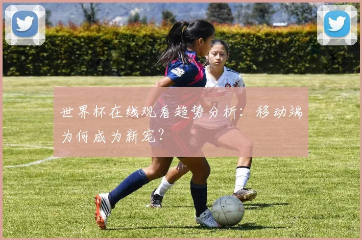 世界杯在线观看趋势分析：移动端为何成为新宠？