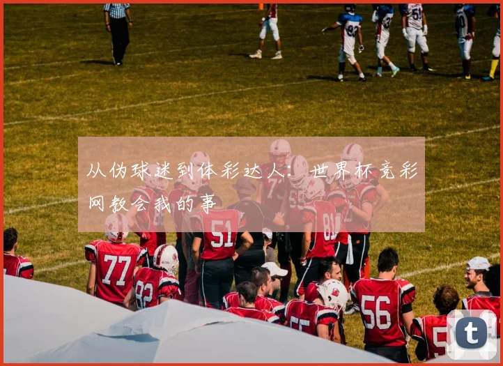 从伪球迷到体彩达人:世界杯竞彩网教会我的事