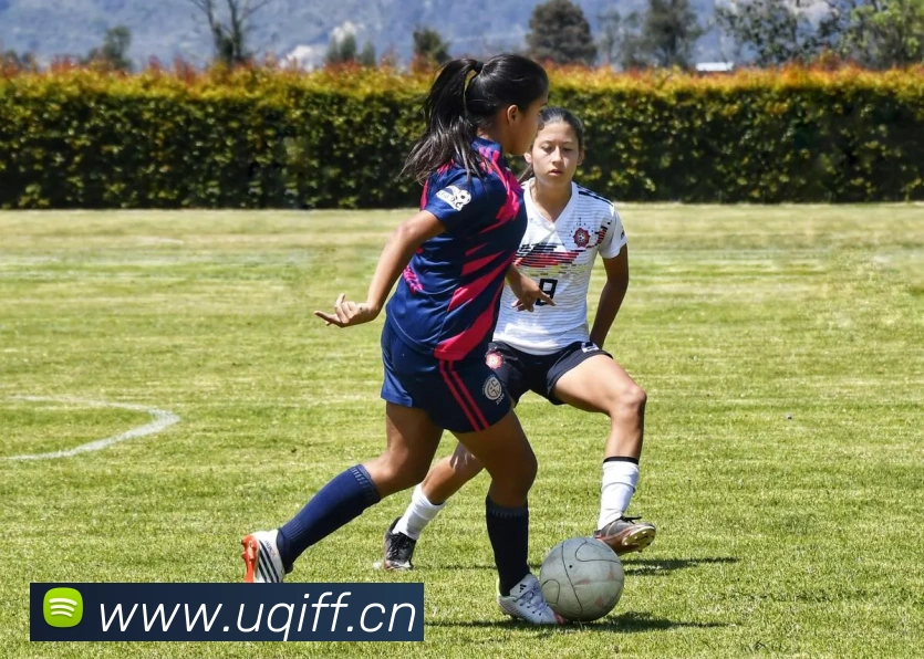 leyu乐鱼网页端登录APP 封面图